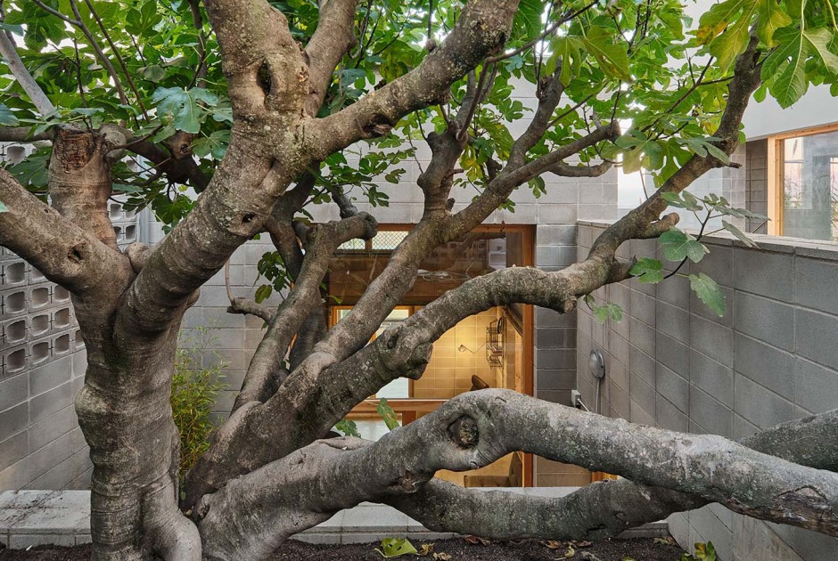 Fig Tree House by Comas-Pont arquitectes. Photograph by Adrià Goula