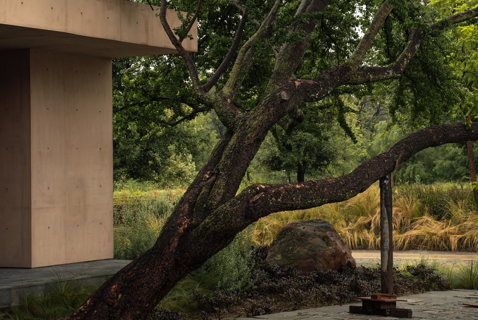 Bosquet by Perimetral + AE Arquitectos. Photograph by Jesús López Cinco 