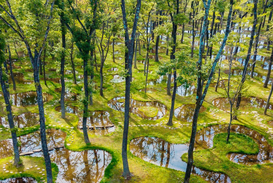 Stunning Japanese Landscape The Water Garden By Junya