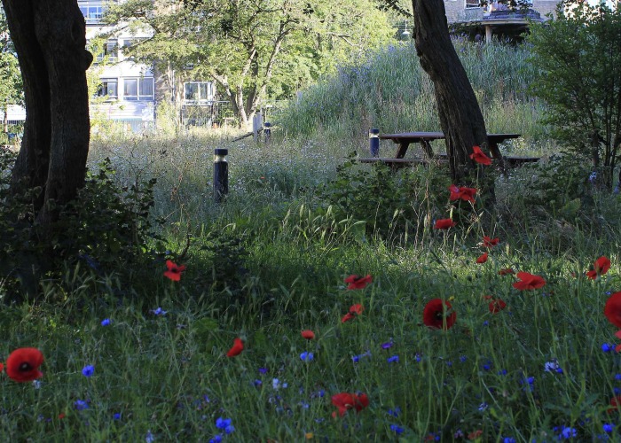 Grønningen-Bispeparken por SLA. Fotografía por Philip von Platen
