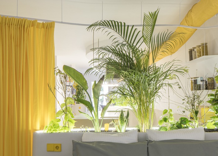 Corrigan estudio por Corrigan Arquitectos. Fotografía por Imagen Subliminal 