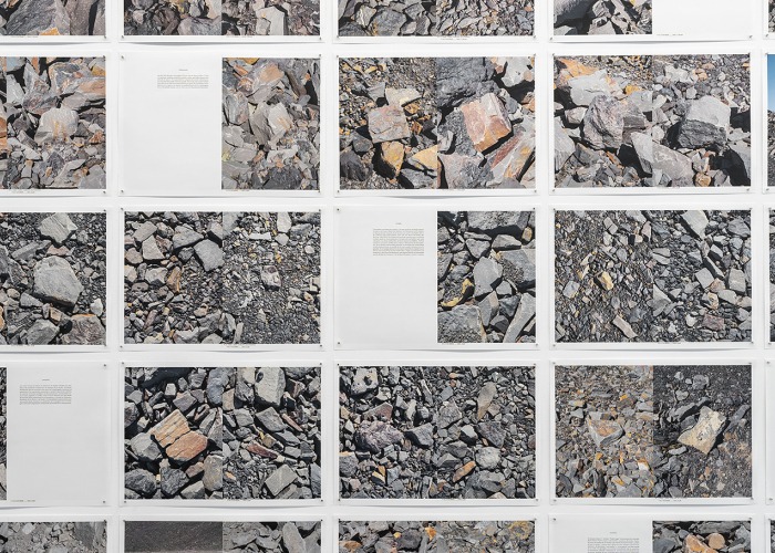 Hablar de piedras. Léxico mineral (Detalle instalación), 2024. Impresión offset digital a 4/4 tintas sobre papel. Instalación de 172 pliegos, 31.7x46cm c/u. Cortesía de Jorge Yeregui, VEGAP, Madrid, 2026 