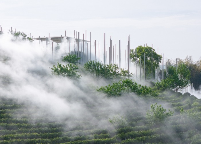 «Salón de té en la nube» por PLAT ASIA. Fotografía por Arch-Exist Photography