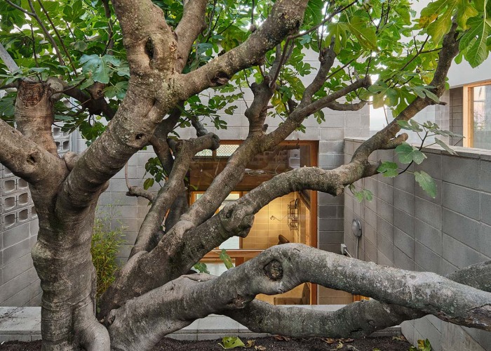 Casa de la Higuera por Comas-Pont arquitectes. Fotografía por Adrià Goula
