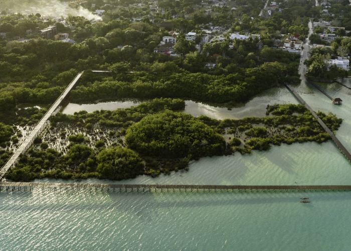 Mangrove, lagoon and stars observatory. Bacalar Ecopark by Colectivo C733