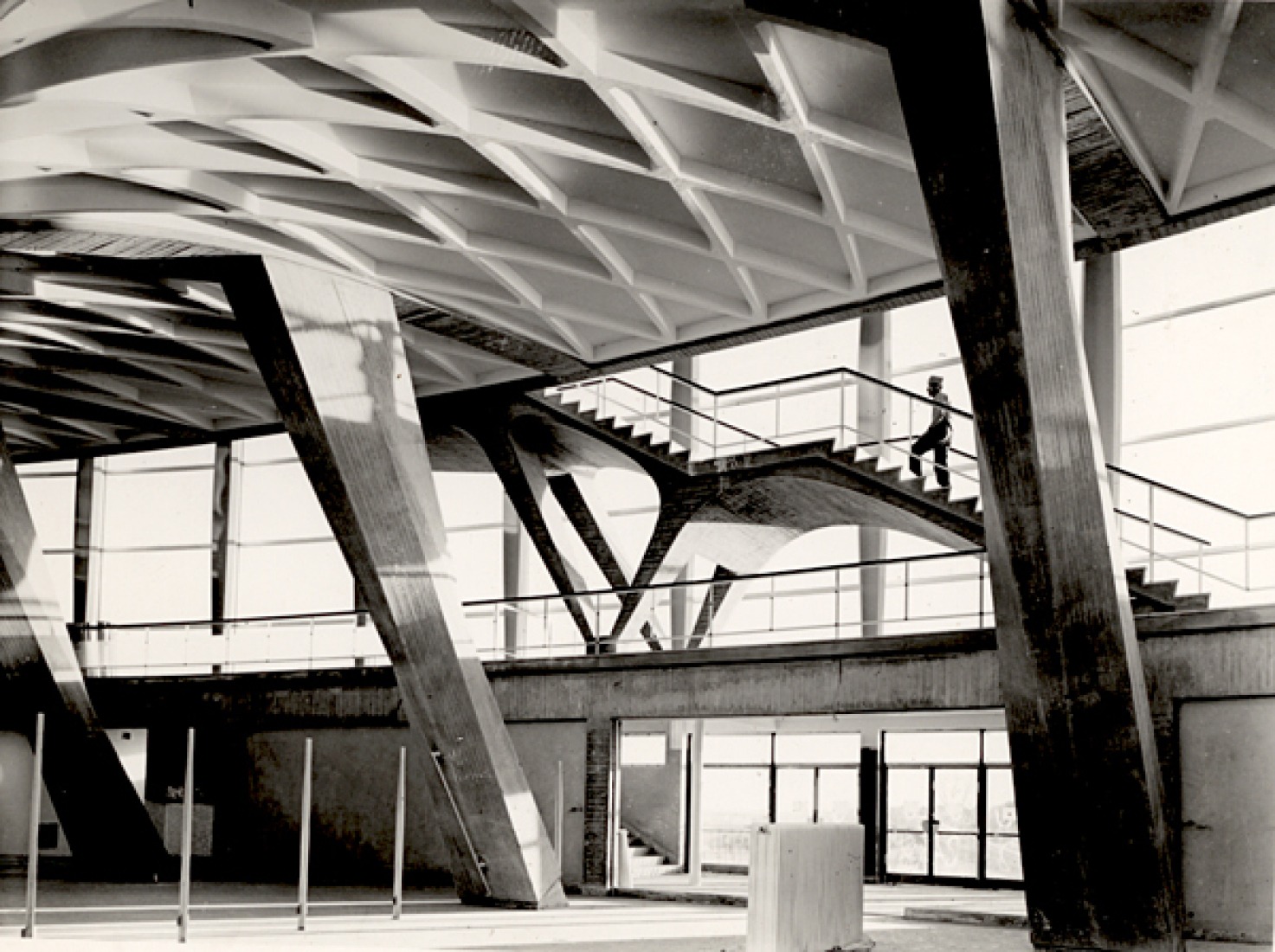 Pier Luigi Nervi, Palazzo dello Sport (Rome - EUR). Courtesy of the MAXXI Foundation