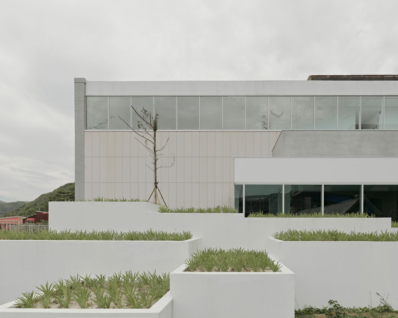 External concrete planter. i Ocean Museum by B+P Architects. Photograph by Studio Millspace.