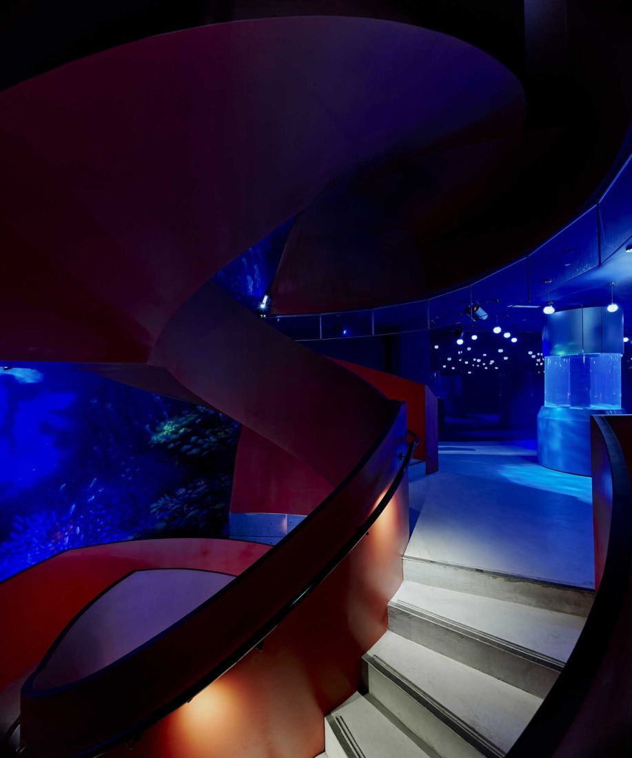 Egg shaped Spiral staircase. i Ocean Museum by B+P Architects. Photograph by Studio Millspace.