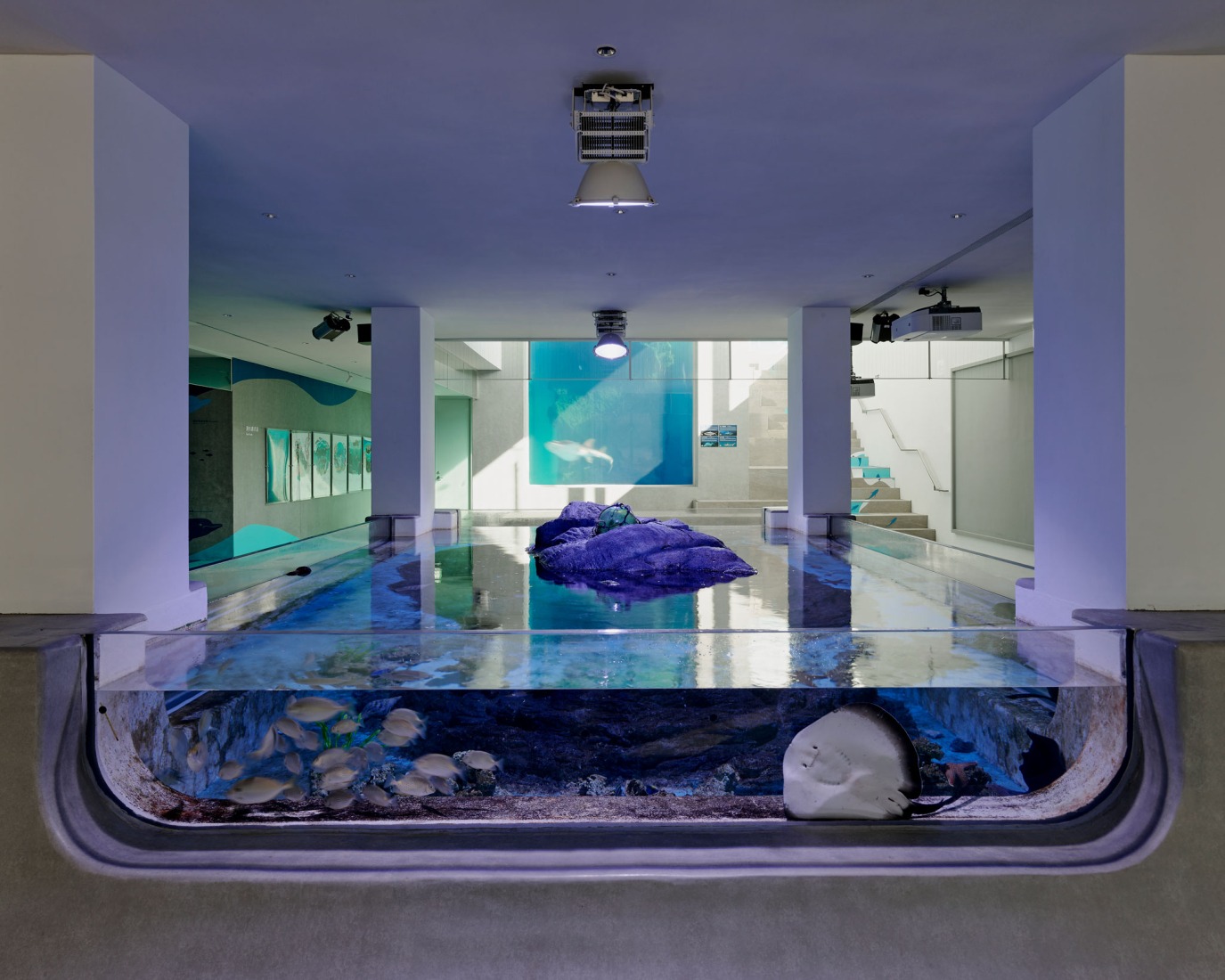 Aquarium. i Ocean Museum by B+P Architects. Photograph by Studio Millspace.