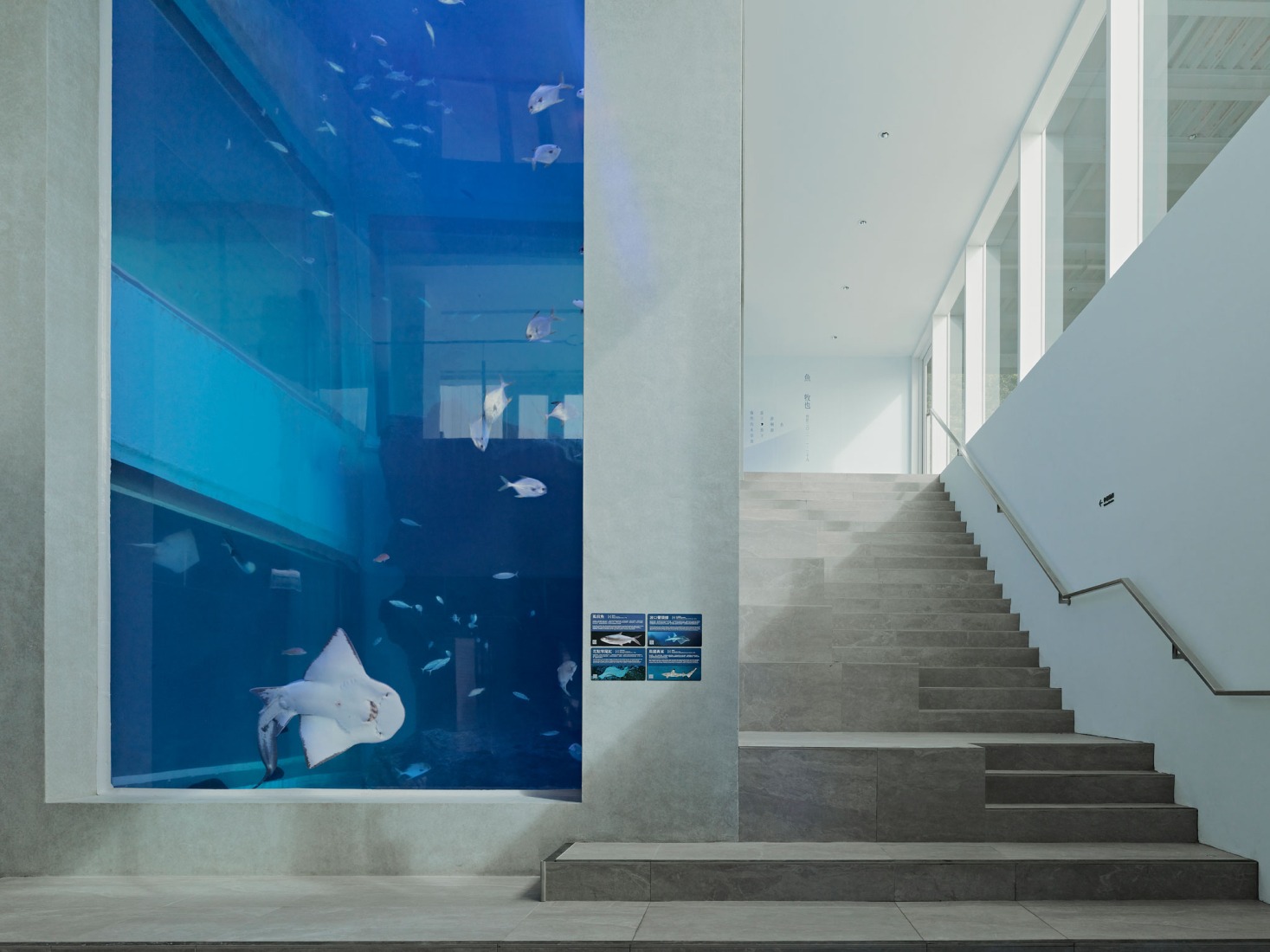 Aquarium. i Ocean Museum by B+P Architects. Photograph by Studio Millspace.