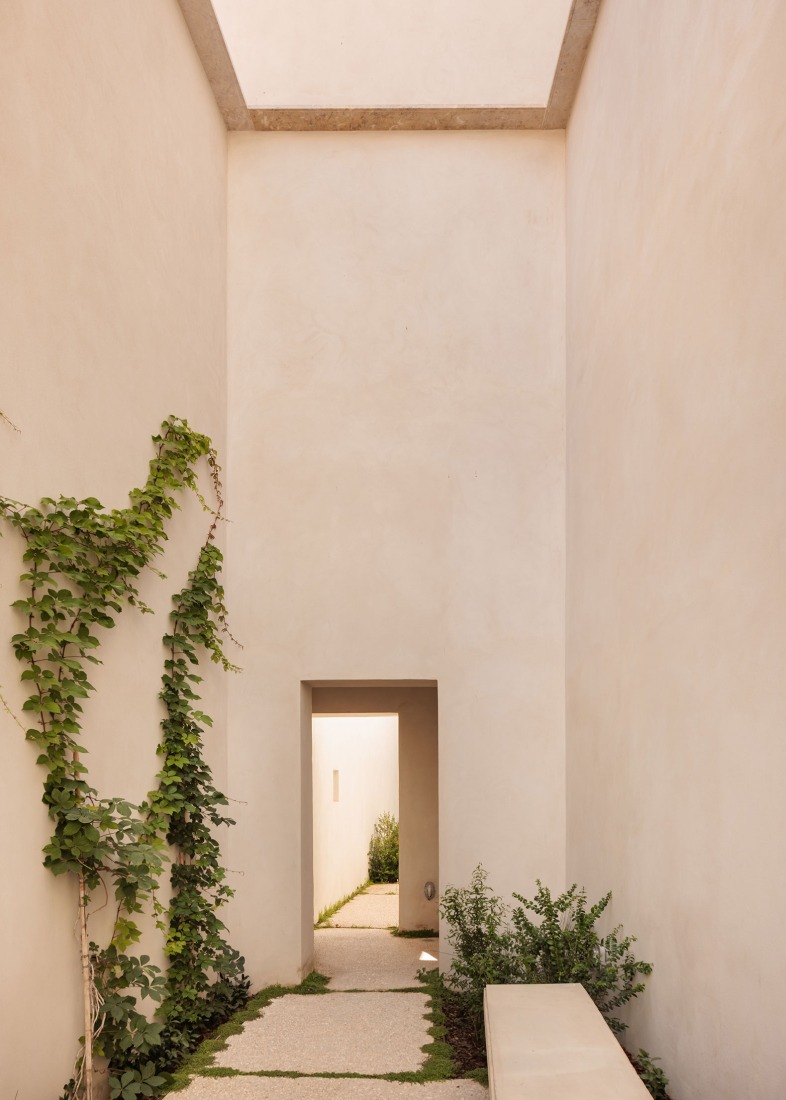 Jardim da Galeria Municipal por Bak Gordon Arquitectos + RM Arquitectura. Fotografía por Francisco Nogueira.