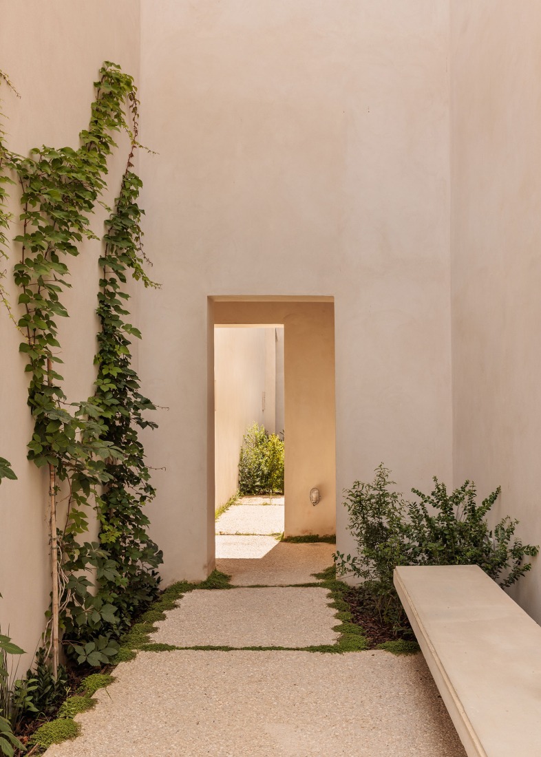 Jardim da Galeria Municipal por Bak Gordon Arquitectos + RM Arquitectura. Fotografía por Francisco Nogueira.