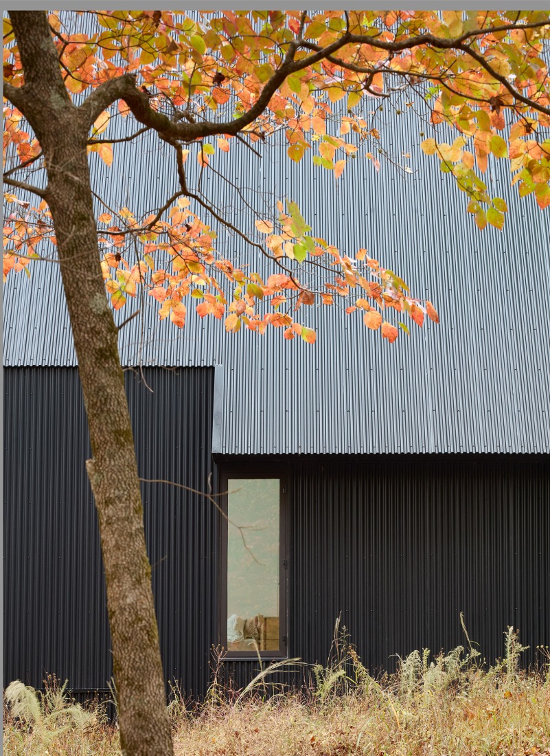 Steeplechase House by Brooks + Scarpa. Photograph by Mark Herboth.