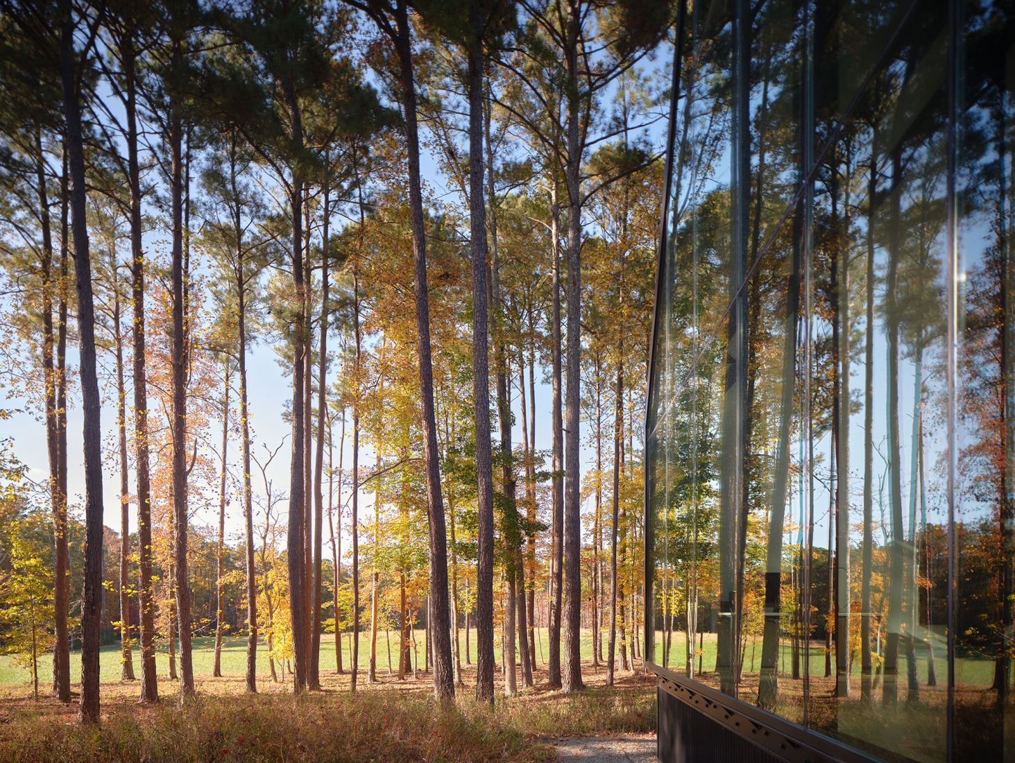 Steeplechase House by Brooks + Scarpa. Photograph by Mark Herboth.