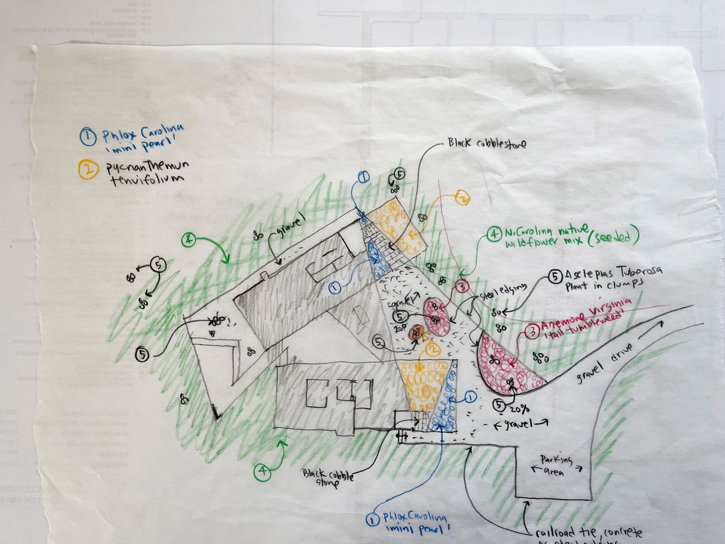 Sketch. Steeplechase House by Brooks + Scarpa. 