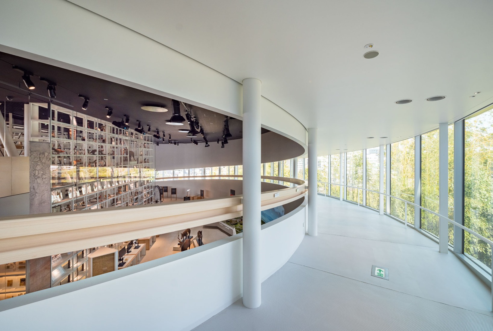 Toyota City Museum by Shigeru Ban. Photograph by Hiroyuki Hirai.
