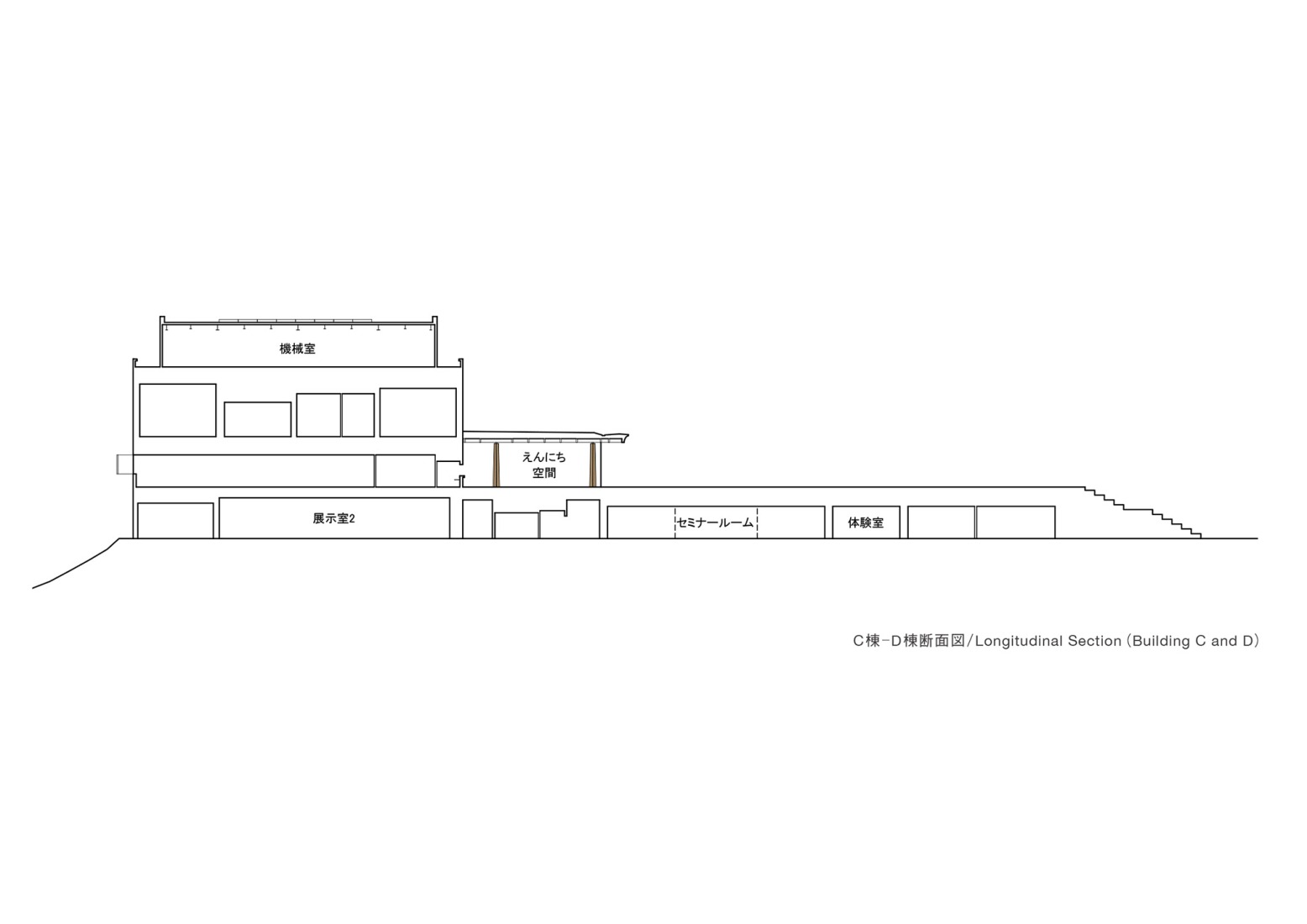 Longitudinal section. Toyota City Museum by Shigeru Ban.