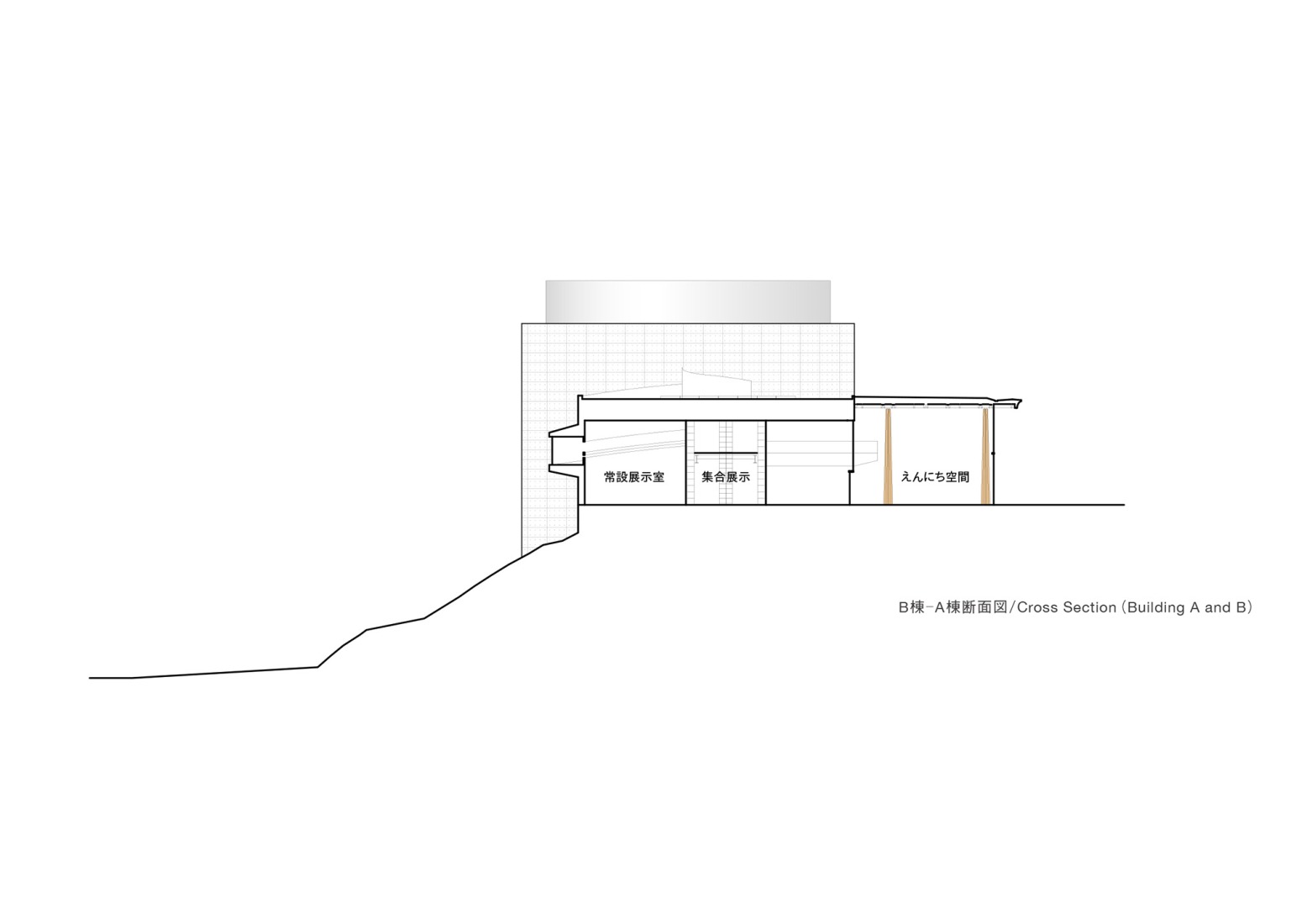 Cross section. Toyota City Museum by Shigeru Ban.