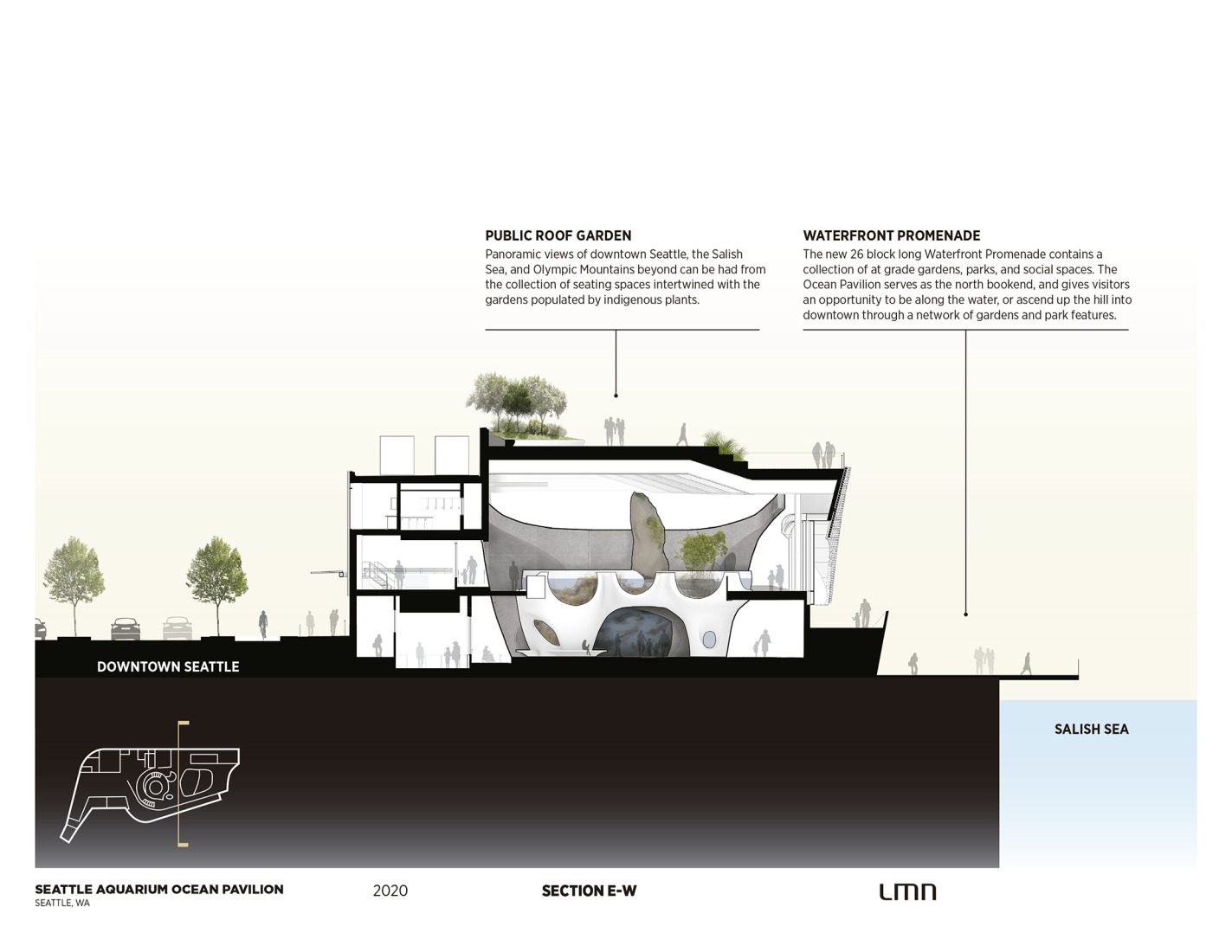 Sección. Pabellón Oceánico del Acuario de Seattle por LMN Architects.
