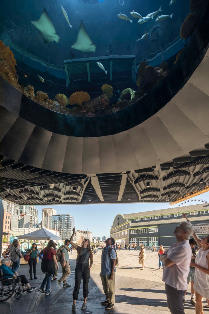 Pabellón Oceánico del Acuario de Seattle por LMN Architects. Fotografía por Lara Swimmer/Esto.
