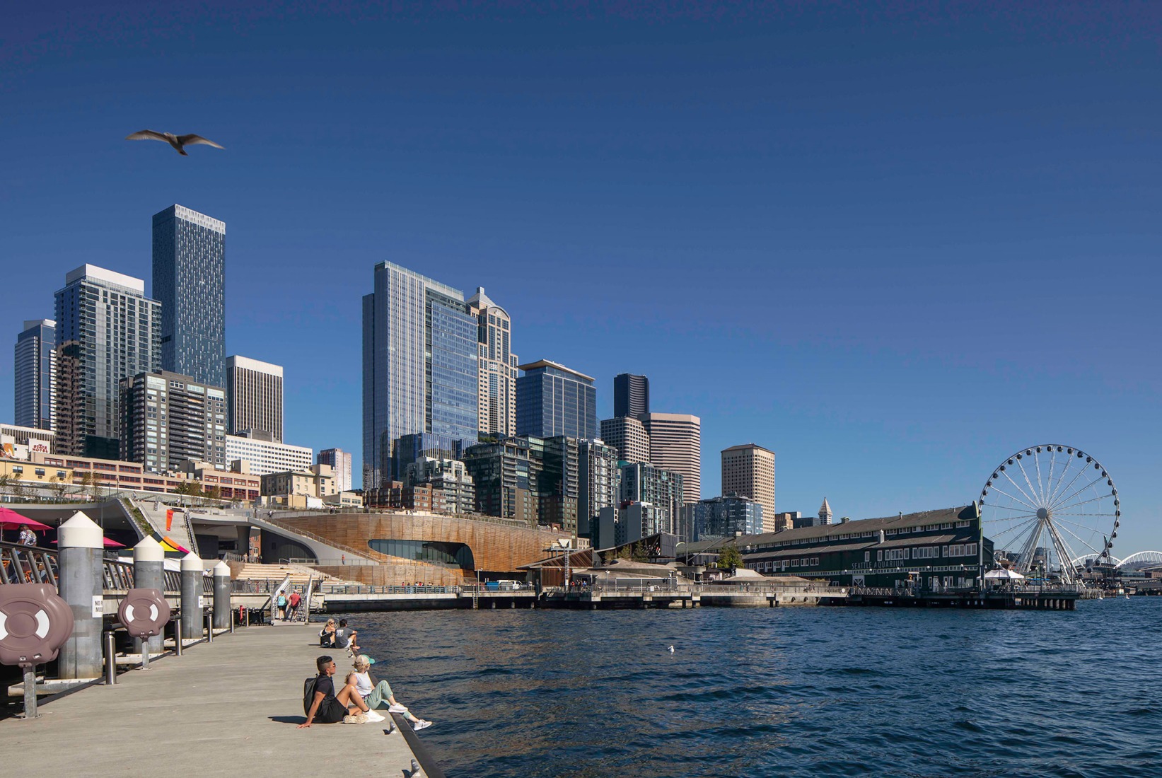 Pabellón Oceánico del Acuario de Seattle por LMN Architects. Fotografía por Lara Swimmer/Esto.
