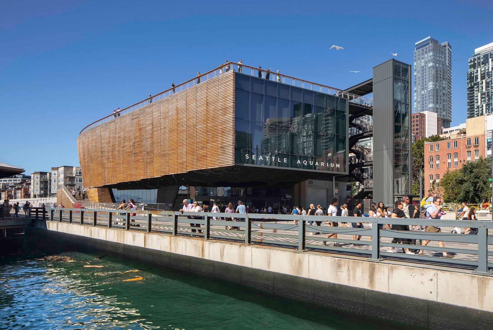 Pabellón Oceánico del Acuario de Seattle por LMN Architects. Fotografía por Lara Swimmer/Esto.
