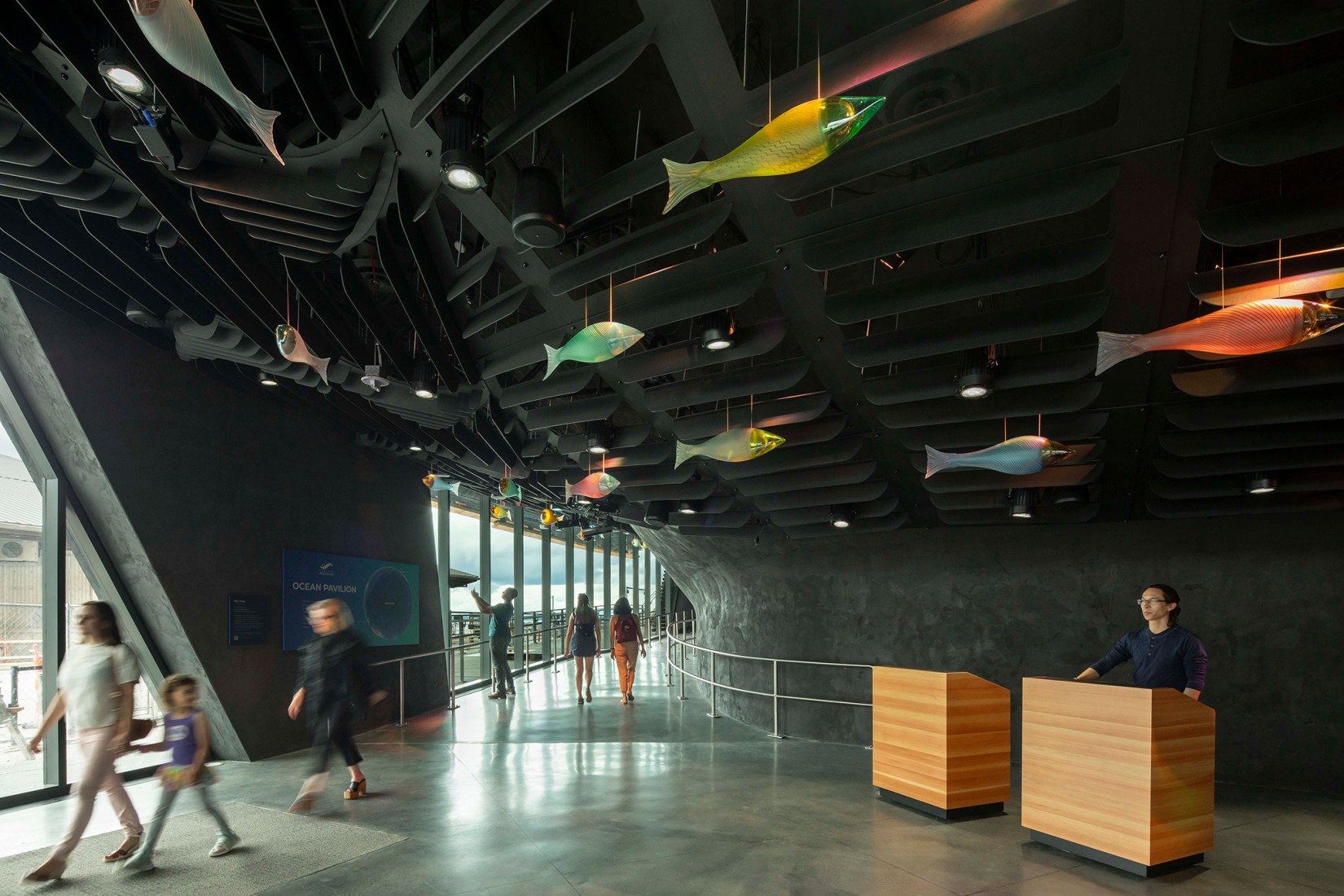 Pabellón Oceánico del Acuario de Seattle por LMN Architects. Fotografía por Lara Swimmer/Esto.