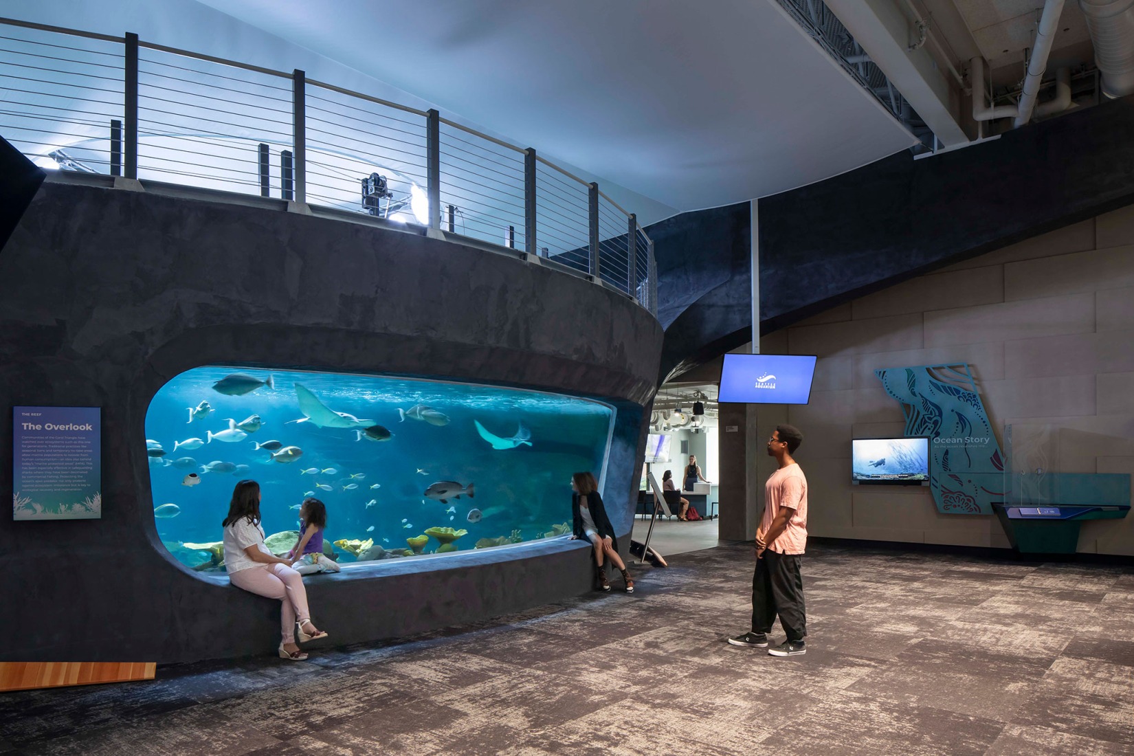 Pabellón Oceánico del Acuario de Seattle por LMN Architects. Fotografía por Lara Swimmer/Esto.