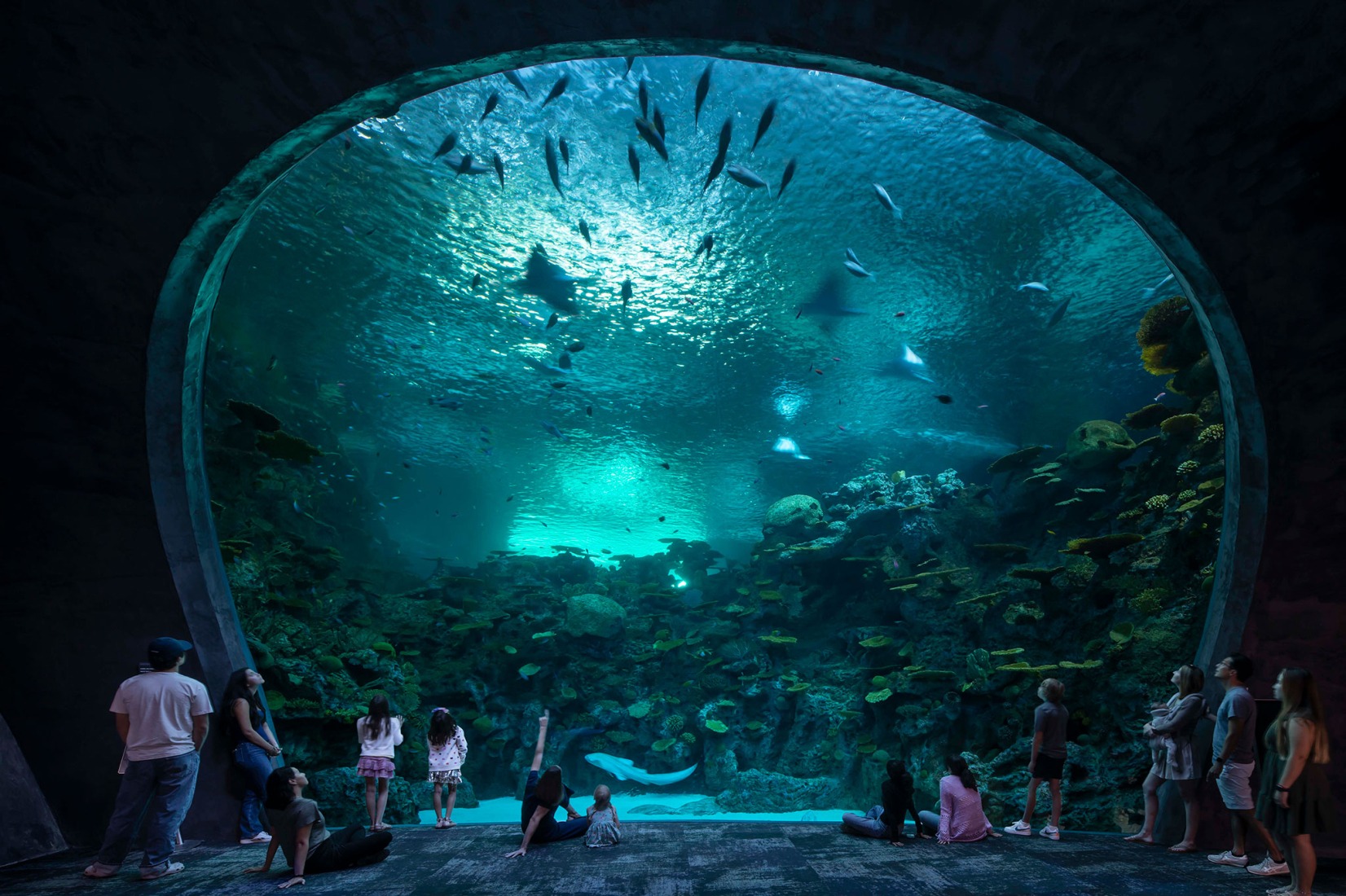Pabellón Oceánico del Acuario de Seattle por LMN Architects. Fotografía por Lara Swimmer/Esto.