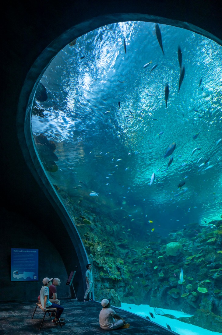 Pabellón Oceánico del Acuario de Seattle por LMN Architects. Fotografía por Lara Swimmer/Esto.