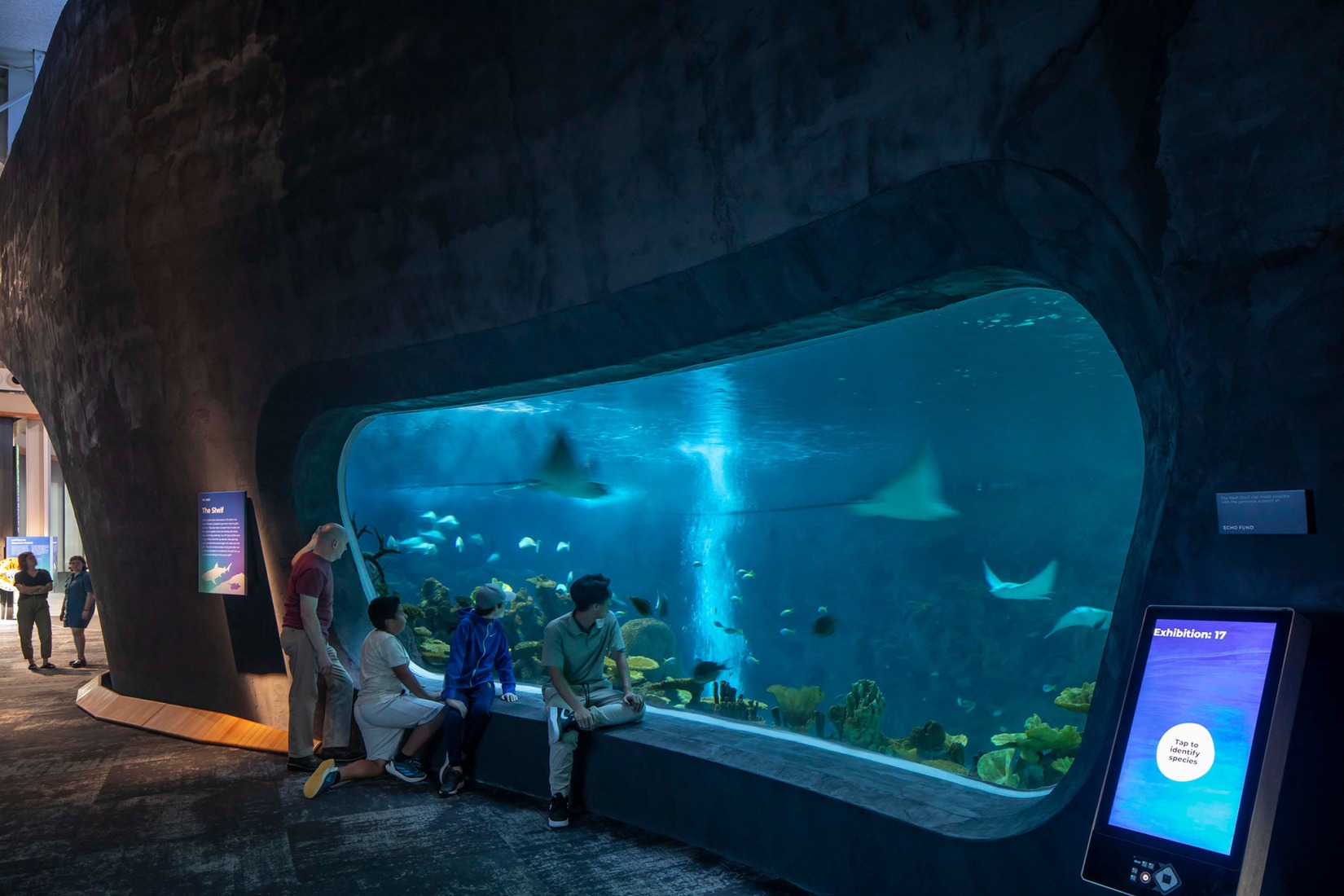 Pabellón Oceánico del Acuario de Seattle por LMN Architects. Fotografía por Lara Swimmer/Esto.