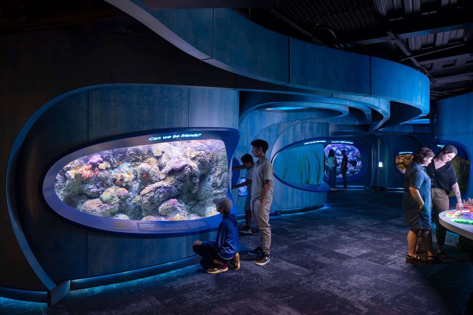 Pabellón Oceánico del Acuario de Seattle por LMN Architects. Fotografía por Lara Swimmer/Esto.