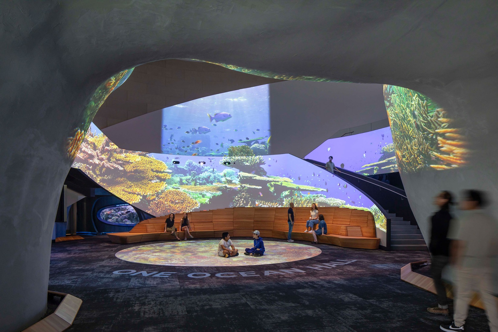 Pabellón Oceánico del Acuario de Seattle por LMN Architects. Fotografía por Lara Swimmer/Esto.
