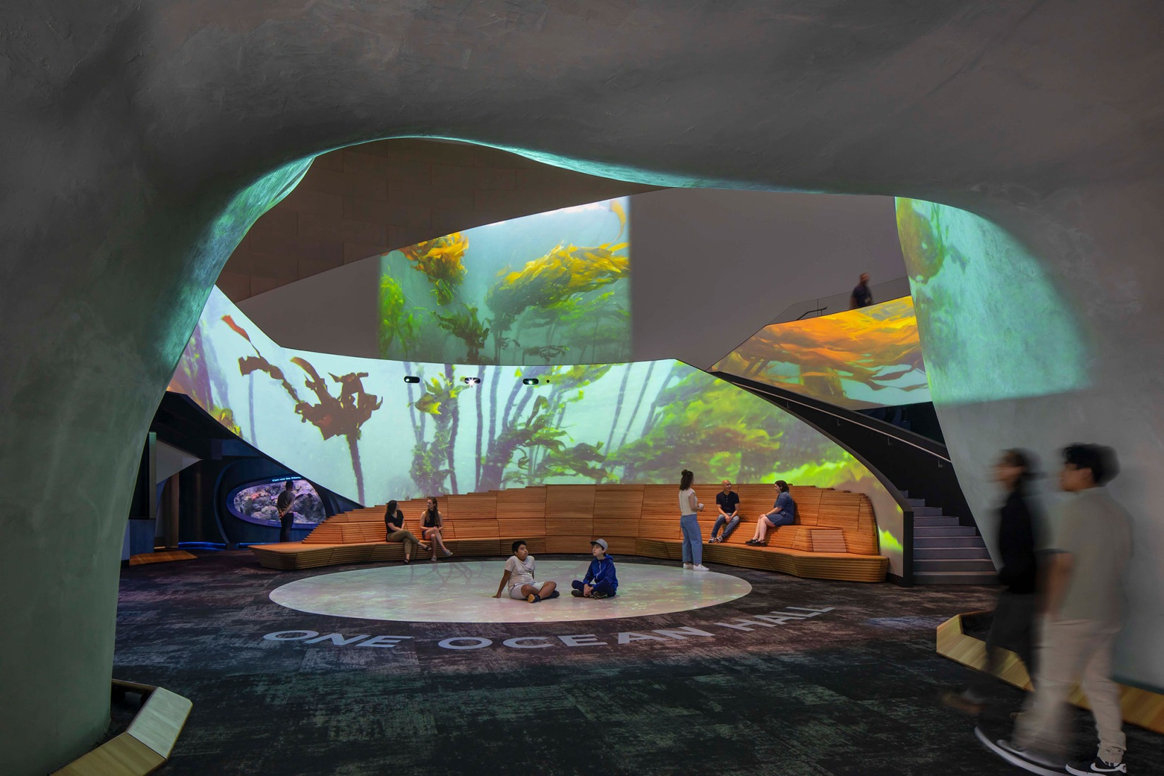 Pabellón Oceánico del Acuario de Seattle por LMN Architects. Fotografía por Lara Swimmer/Esto.
