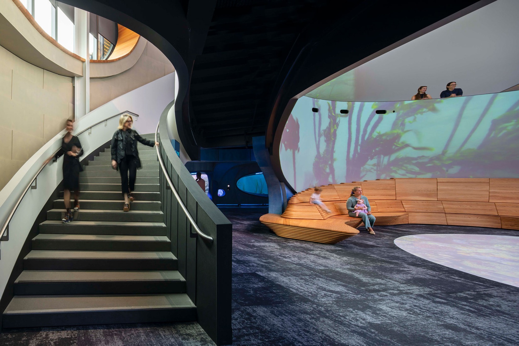 Pabellón Oceánico del Acuario de Seattle por LMN Architects. Fotografía por Lara Swimmer/Esto.