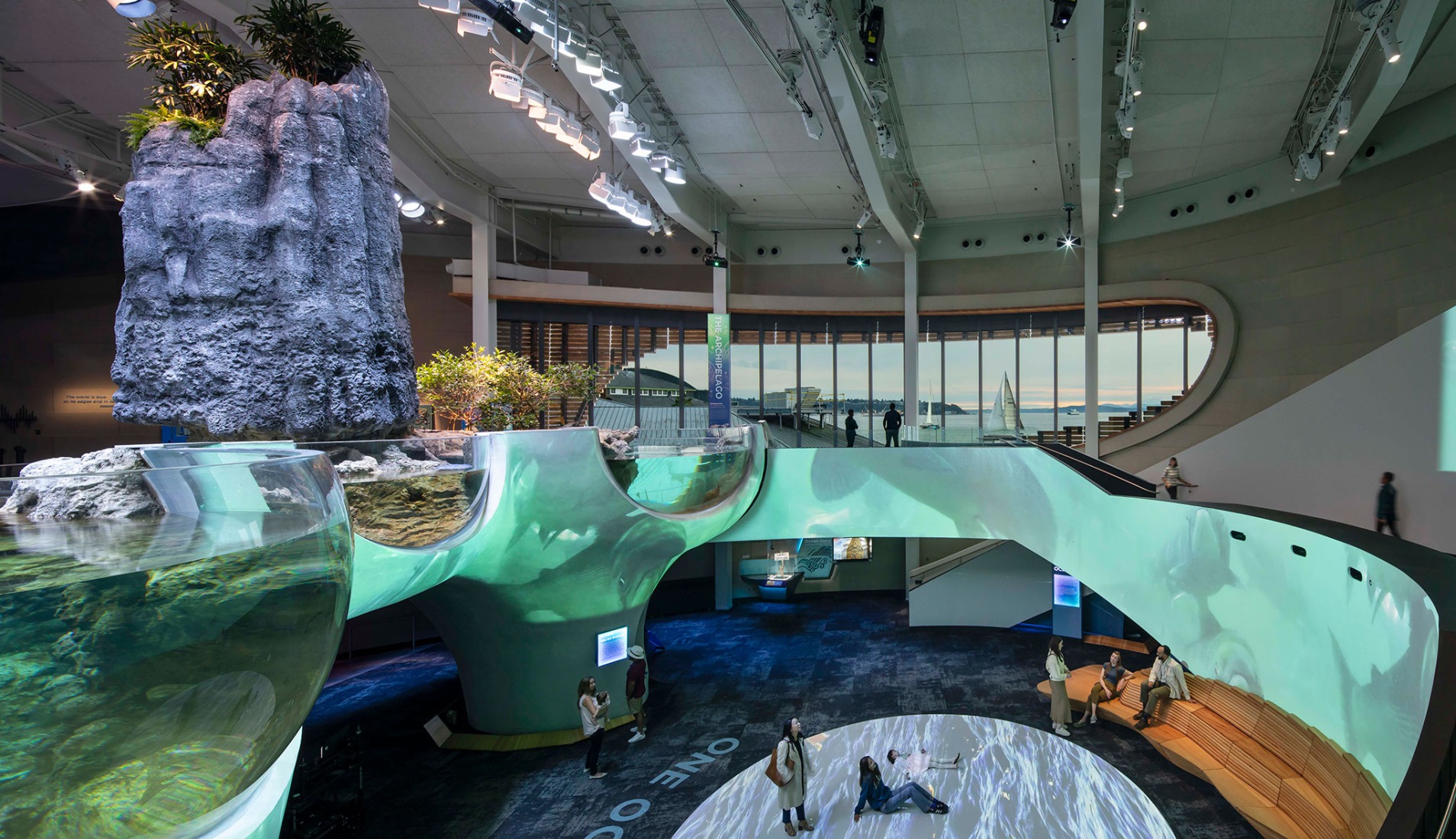 Pabellón Oceánico del Acuario de Seattle por LMN Architects. Fotografía por Lara Swimmer/Esto.
