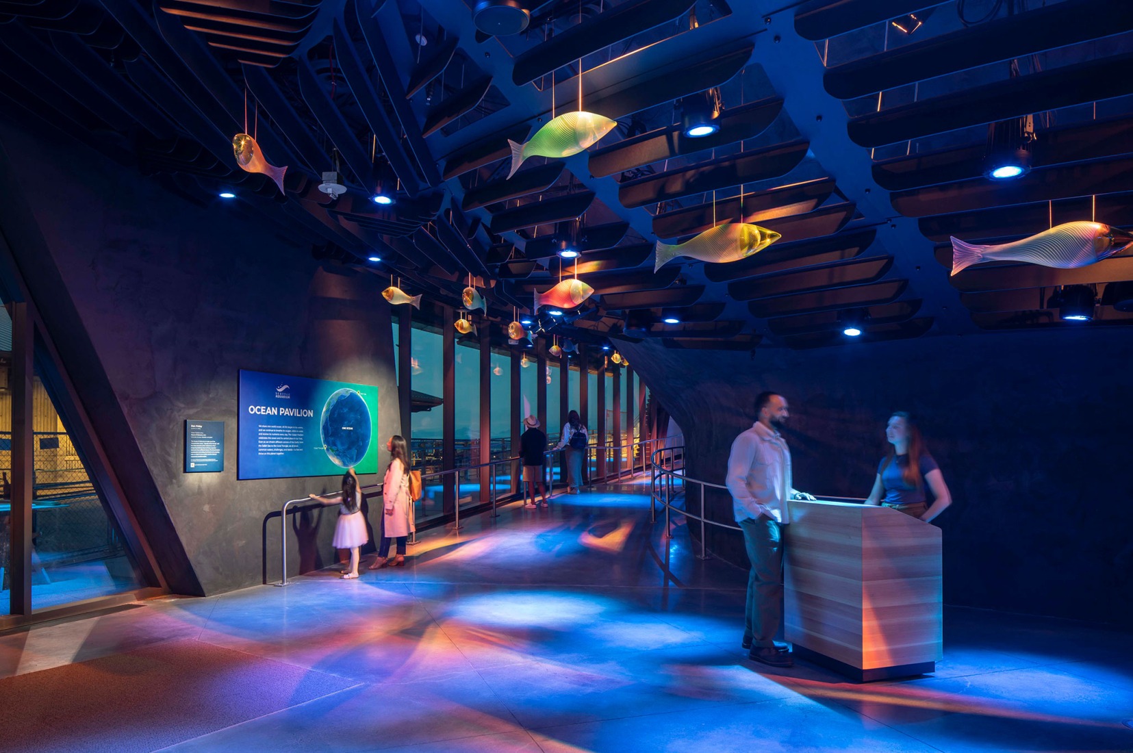 Pabellón Oceánico del Acuario de Seattle por LMN Architects. Fotografía por Lara Swimmer/Esto.