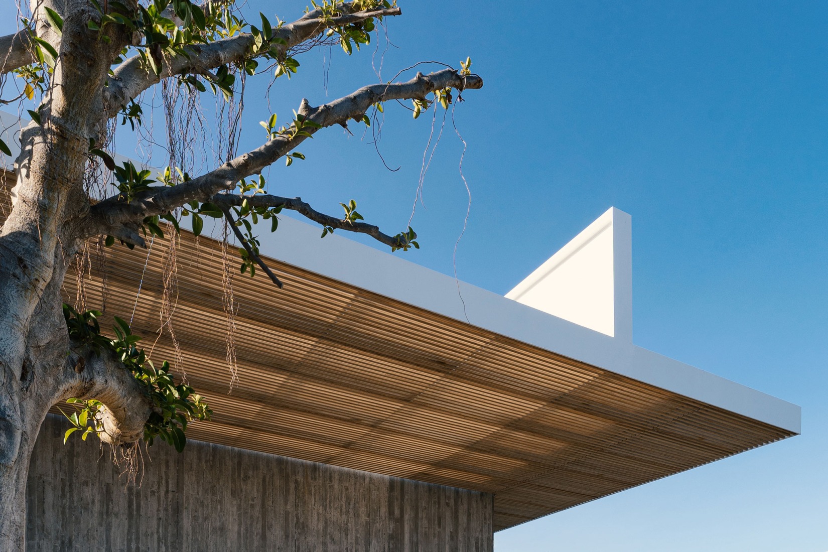 Aliforniana House by Subarquitectura. Photograph by Szasa Hadju.
