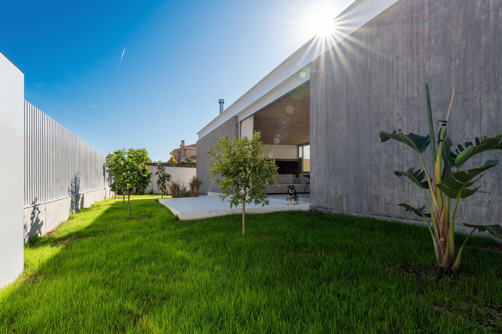 Aliforniana House by Subarquitectura. Photograph by Szasa Hadju.