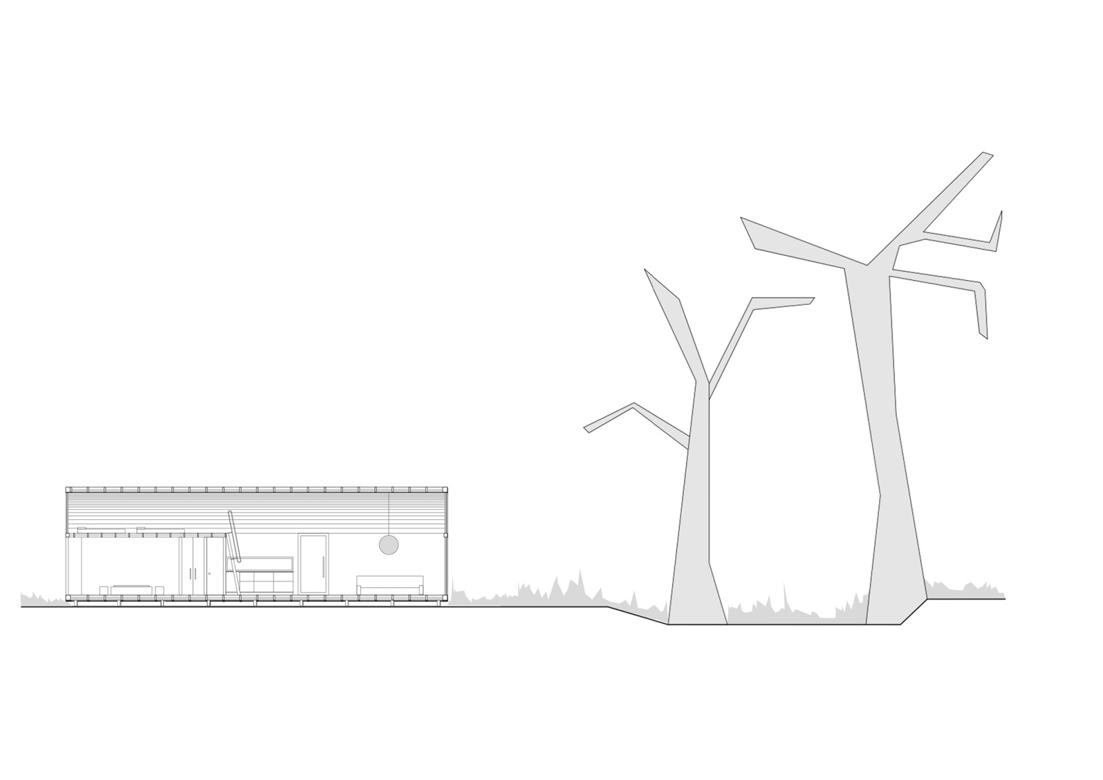 Section. Catalejo by Tololo Ugarte.