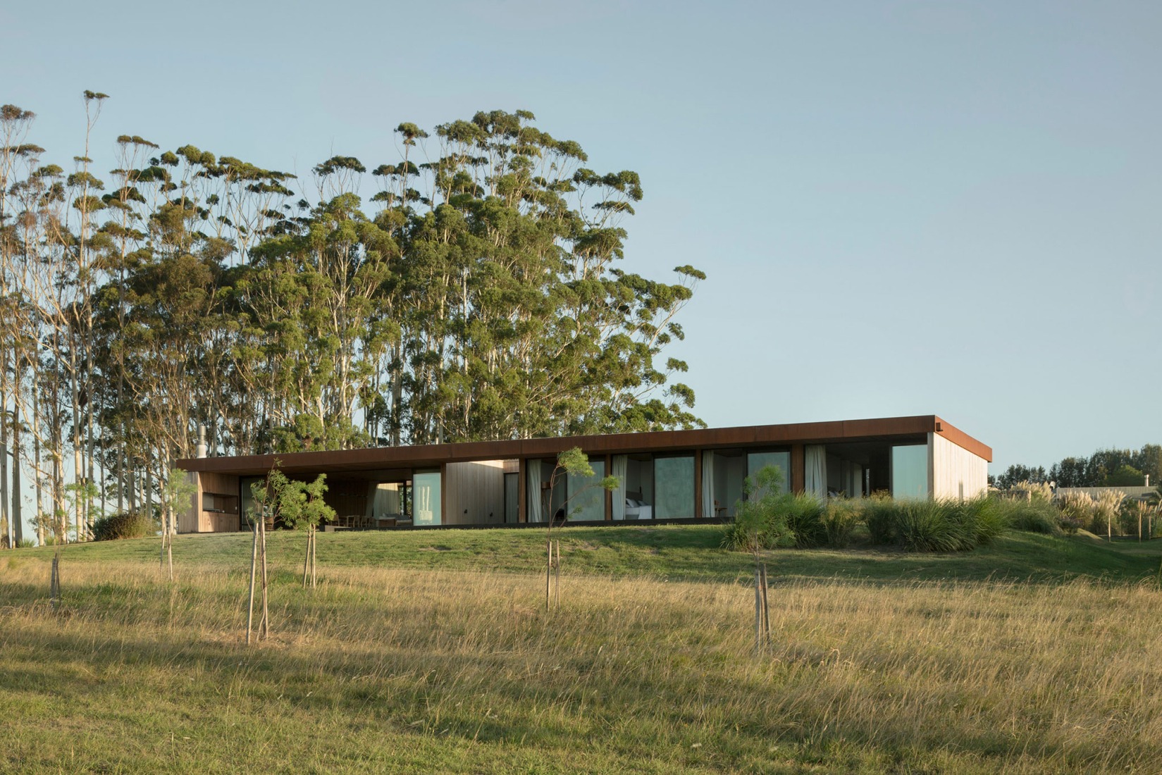 Casa PM por VDV Arquitectura. Fotografía por Federico Cairoli.