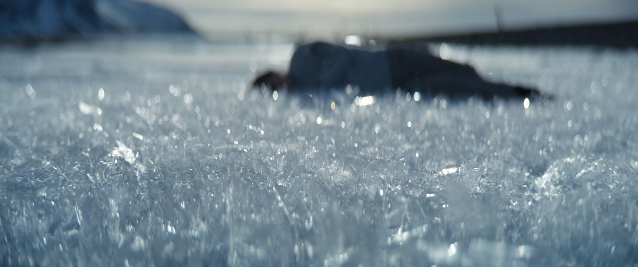 間 Ma—The Space Between All Things by Neels Castillon.