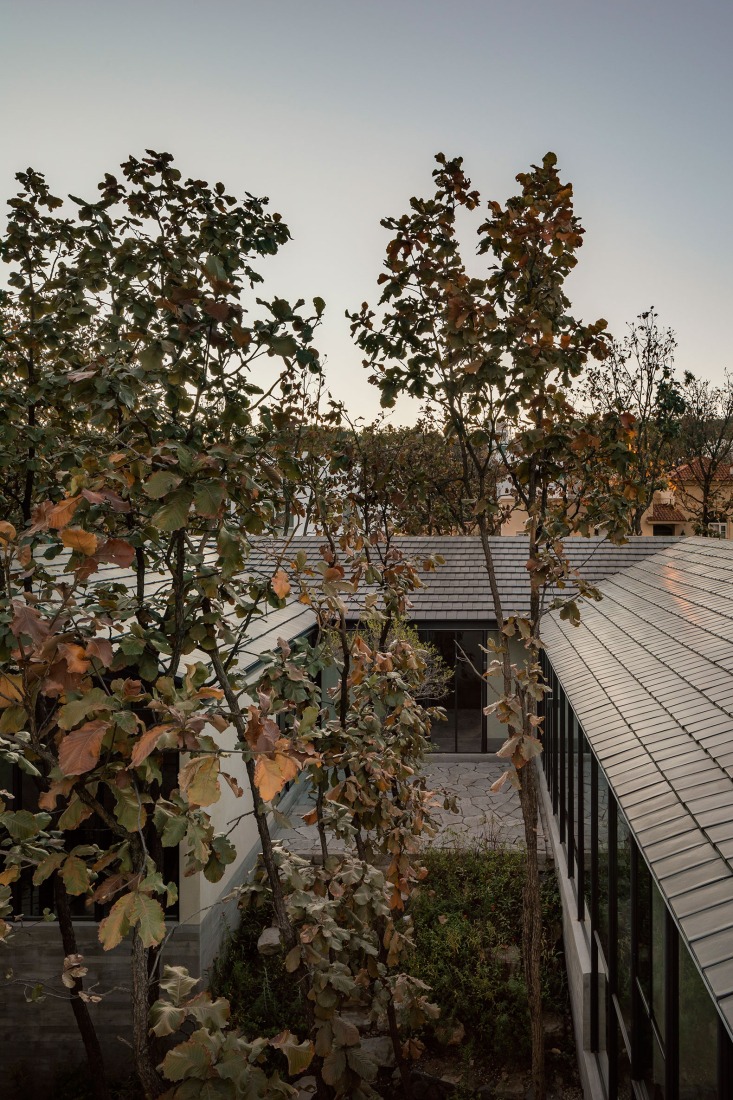 Casa Caribu por Taller Tequio. Fotografía por Cesar Bejar Studio.