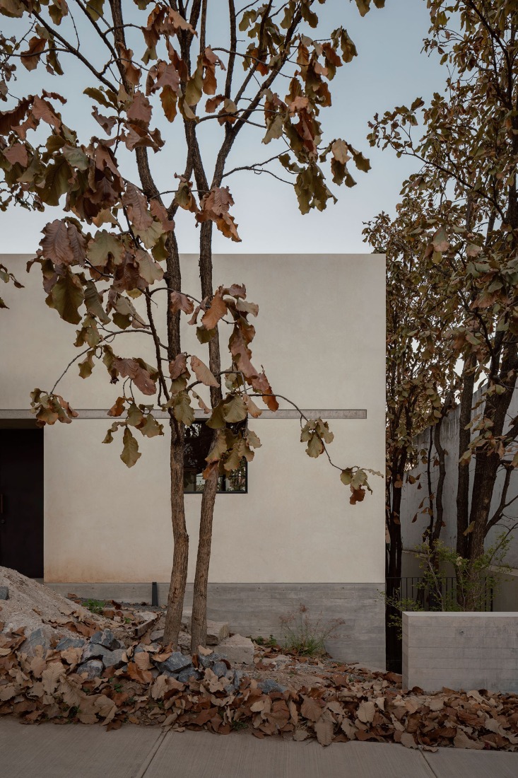 Casa Caribu por Taller Tequio. Fotografía por Cesar Bejar Studio.