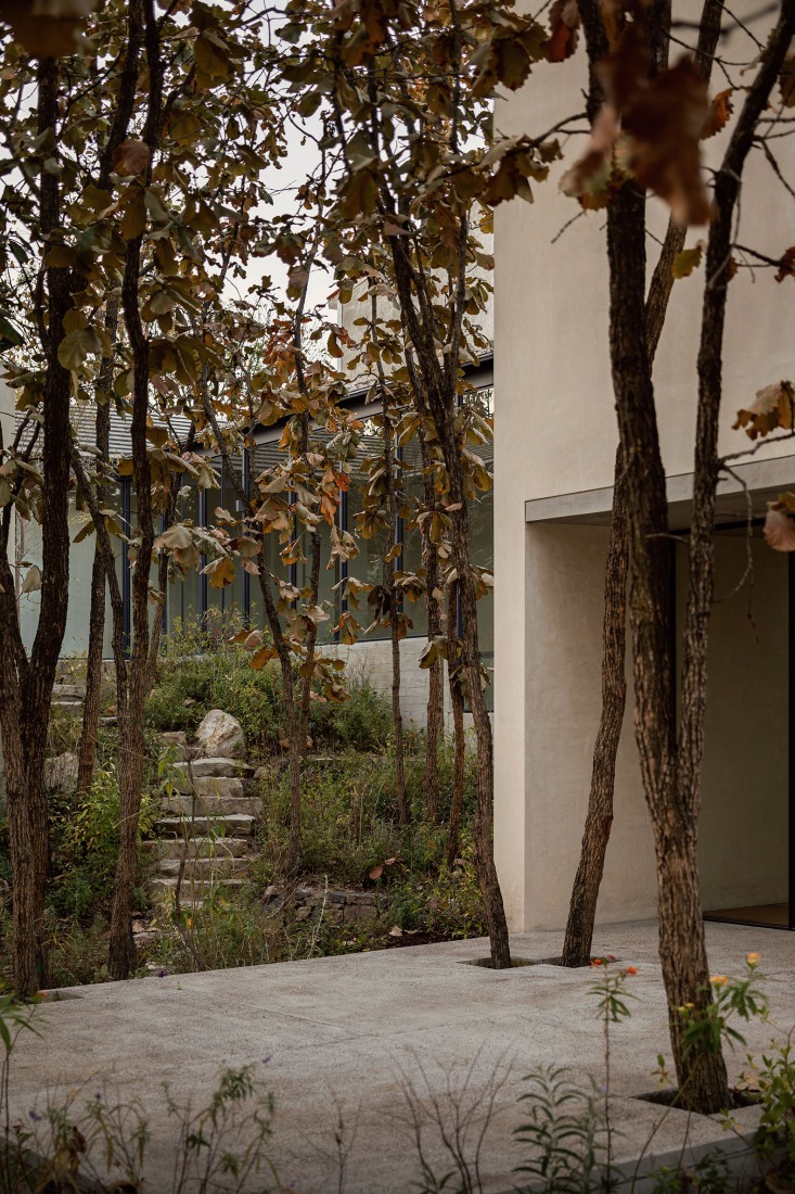 Casa Caribu por Taller Tequio. Fotografía por Cesar Bejar Studio.