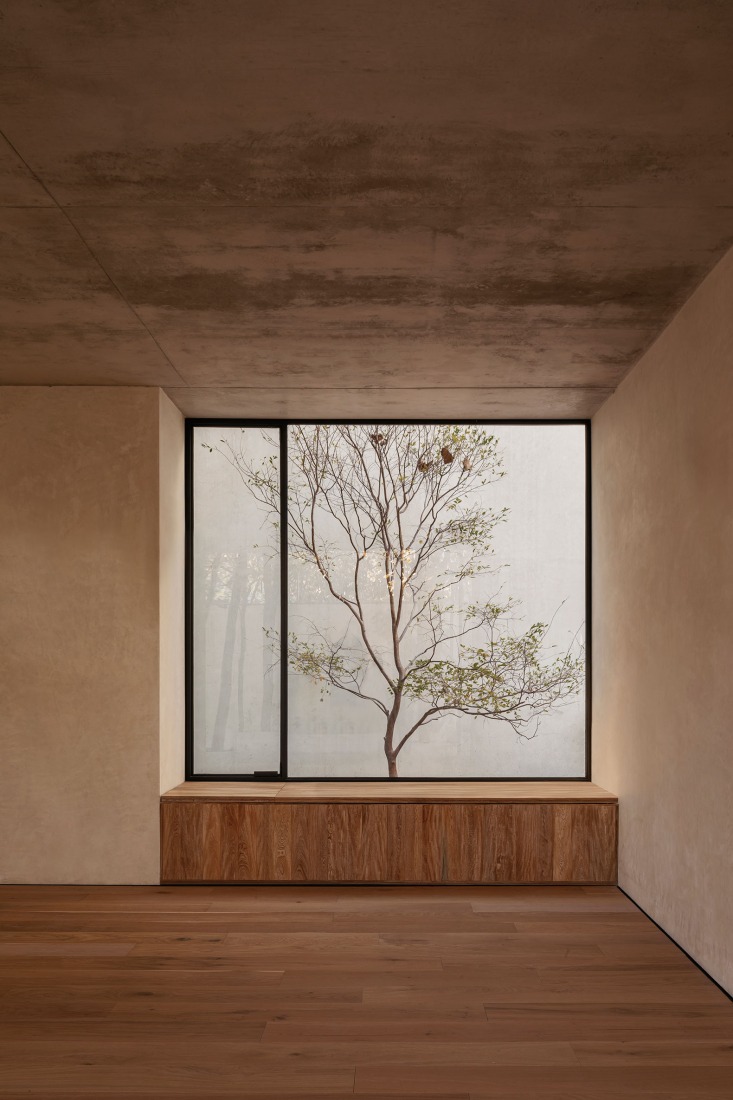 Casa Caribu por Taller Tequio. Fotografía por Cesar Bejar Studio.