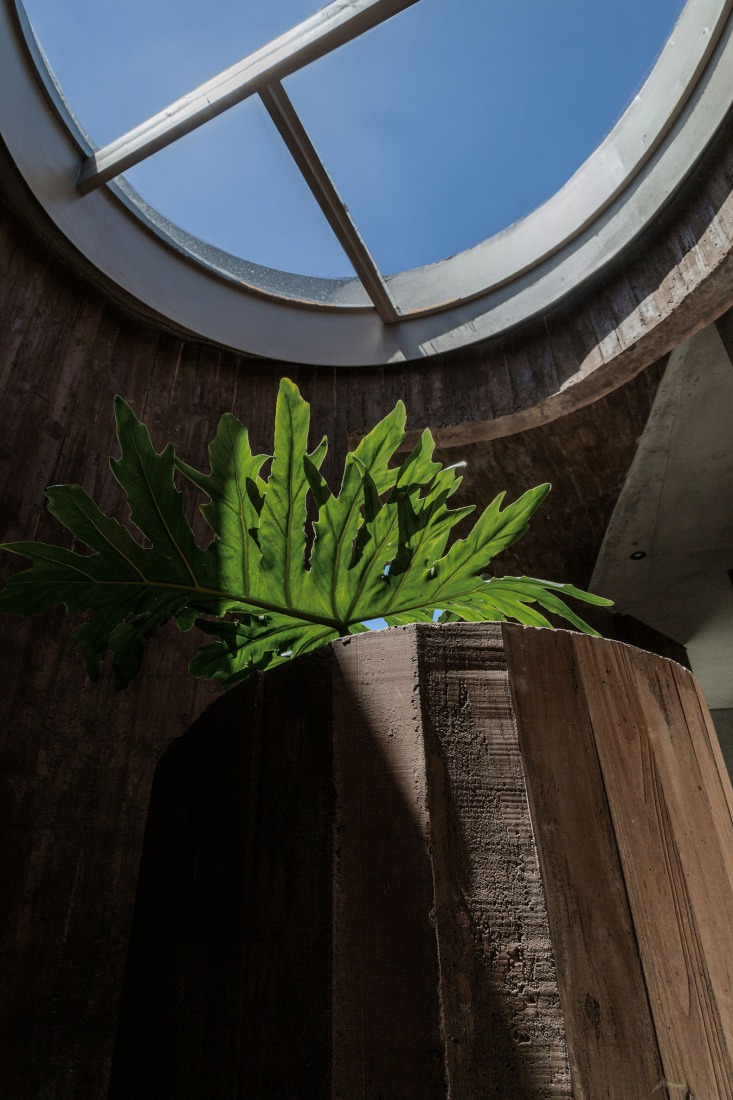 Forest House by GRIZZO Studio. Photograph by Federico Kulekdjian.