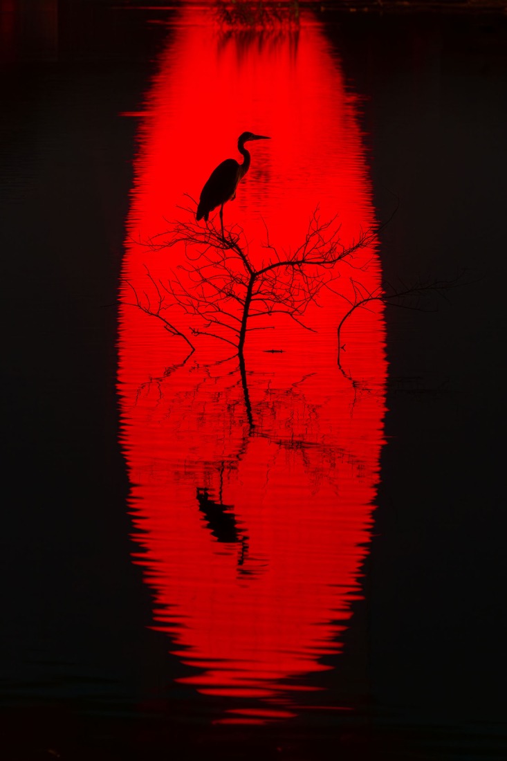 Ovoid' by SpY. Photograph by Rubén P Bescós.
