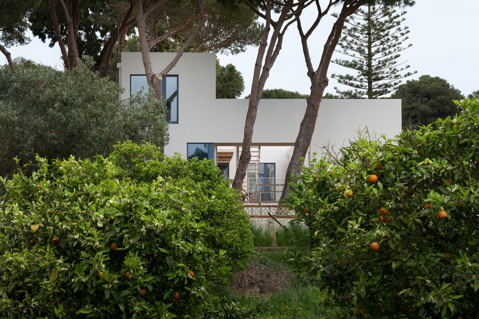 Urban cortijo-house by José Manuel Martínez Rodríguez. Photograph by Juan Carlos Lagares.