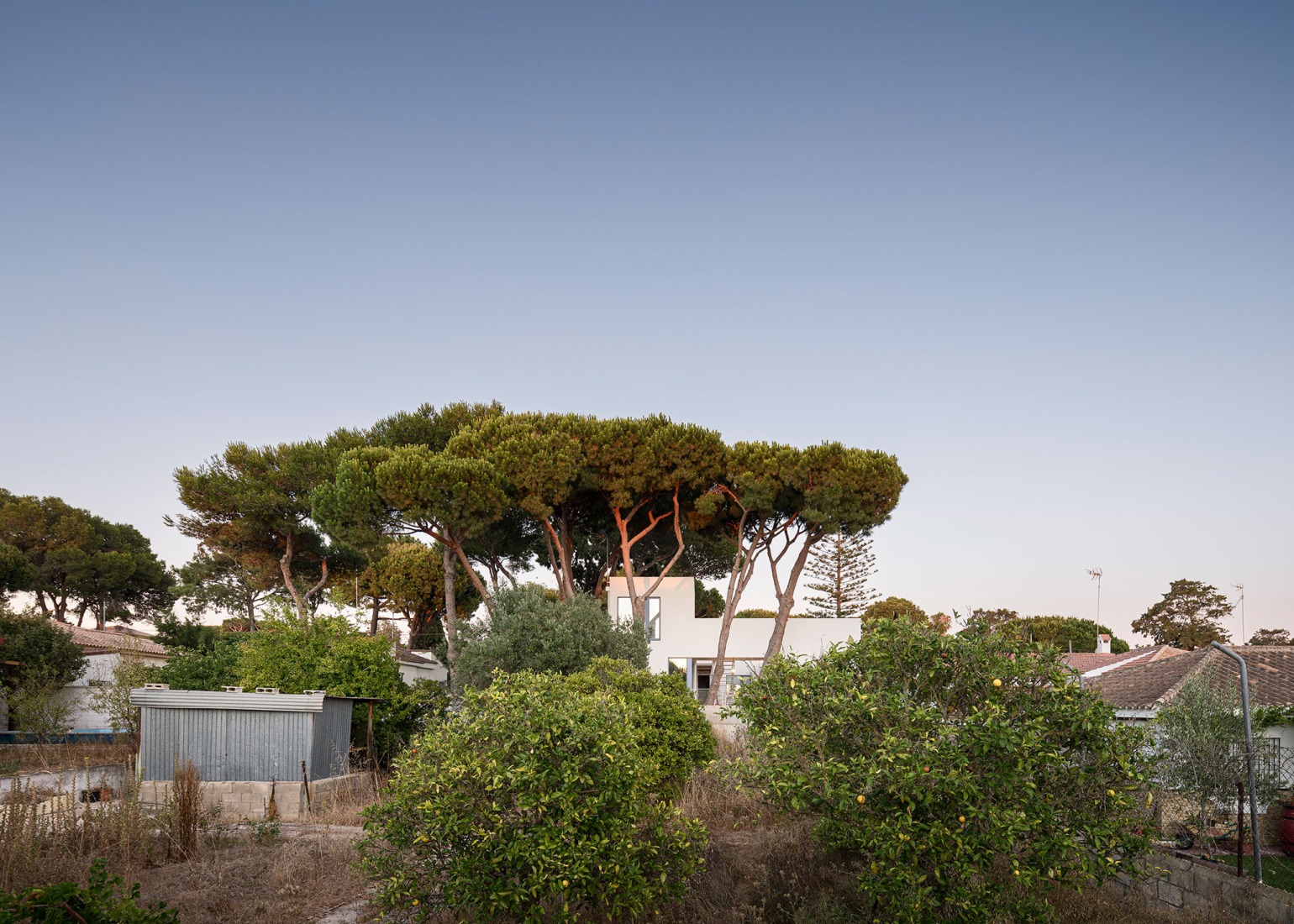 Urban cortijo-house by José Manuel Martínez Rodríguez. Photograph by Juan Carlos Lagares.